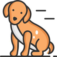 Instant pet health advice through online vet consultation