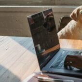 Dog excited about online vet care consultation