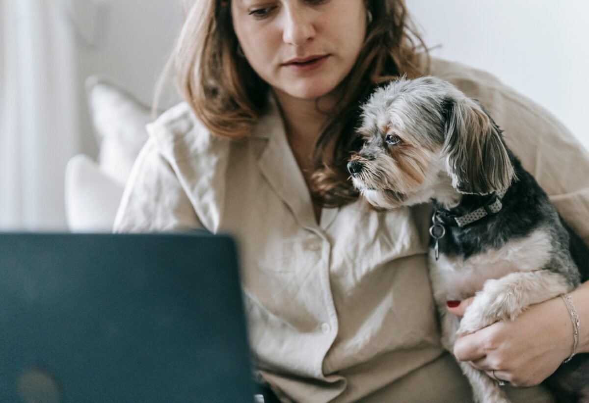 Healthy dog sitting calmly while getting veterinary advice through online consultation