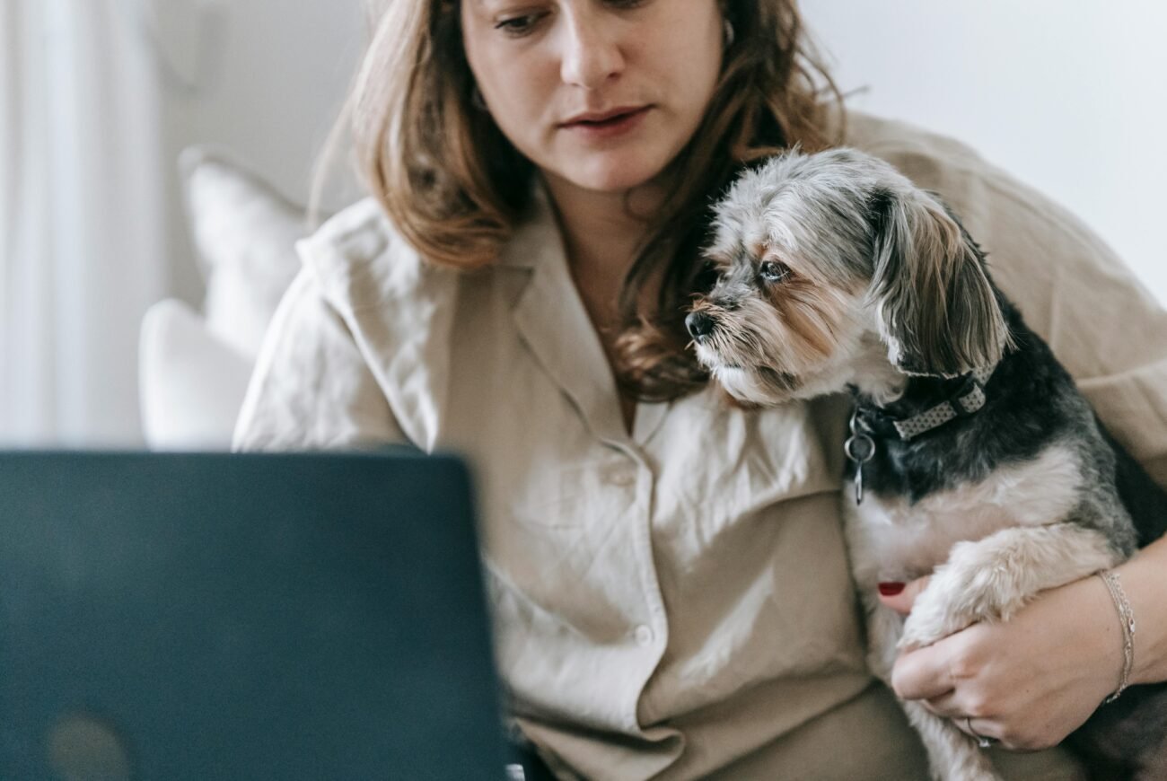 Healthy dog sitting calmly while getting veterinary advice through online consultation