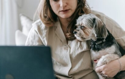 Instant Online Vet Advice for Dogs | ChotaBoss Healthy dog sitting calmly while getting veterinary advice through online consultation